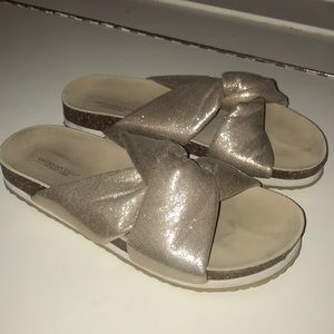 American eagle slides